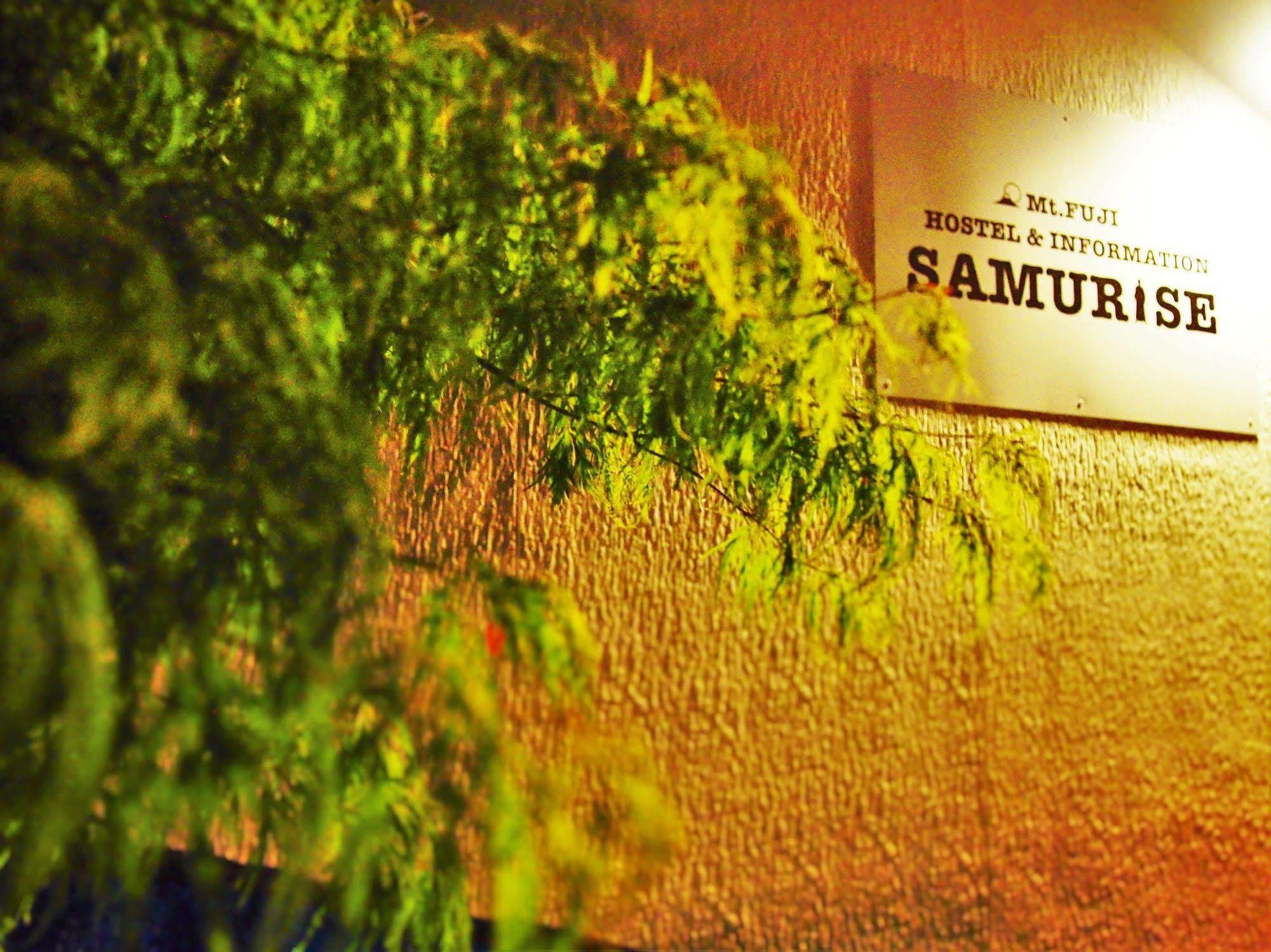 Hostel Samurise Mt Fuji Fujikawaguchiko Exterior photo